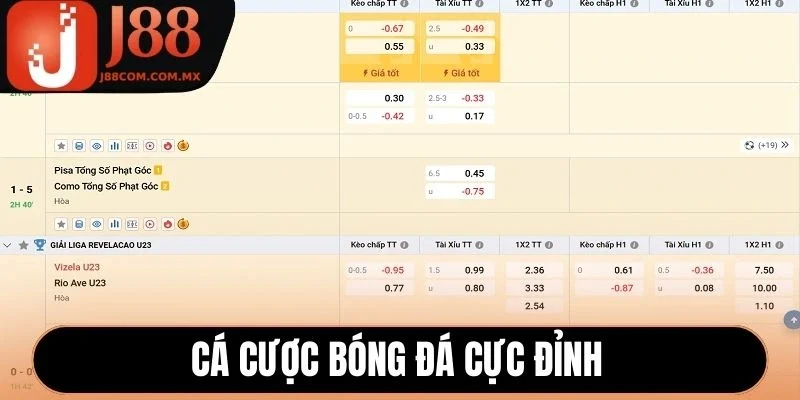 Cá cược bóng đá cực đỉnh
