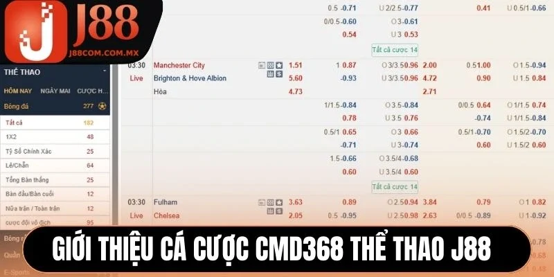 Giới thiệu cá cược CMD368 thể thao J88 