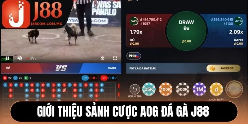 Giới thiệu sảnh cược AOG đá gà J88