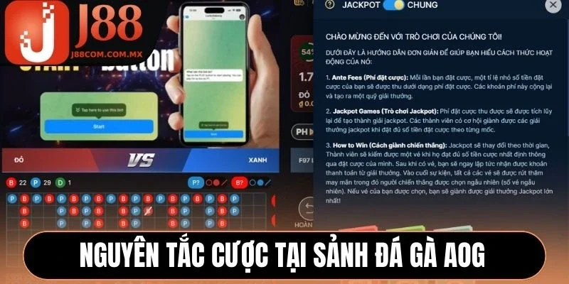 Nguyên tắc cược tại sảnh đá gà AOG