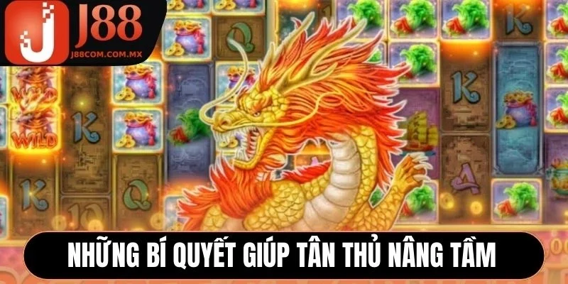 Những bí quyết giúp tân thủ nâng tầm