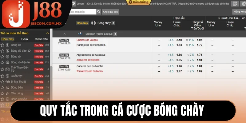 Quy tắc quan trọng trong cá cược bóng chày