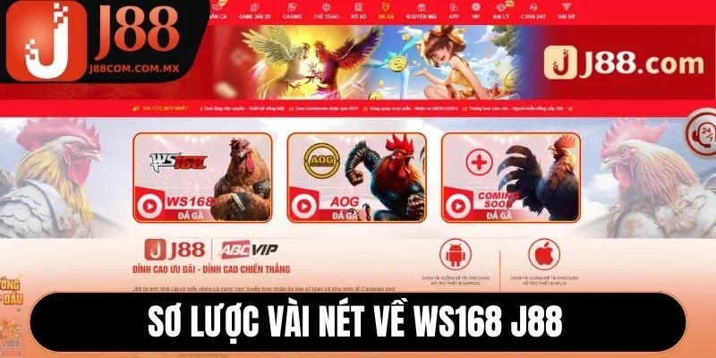 Sơ lược vài nét về WS168 J88