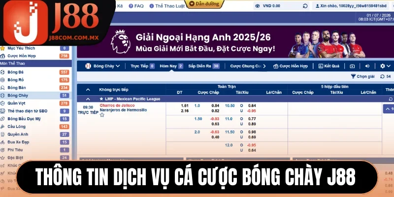 Thông tin dịch vụ cá cược bóng chày J88
