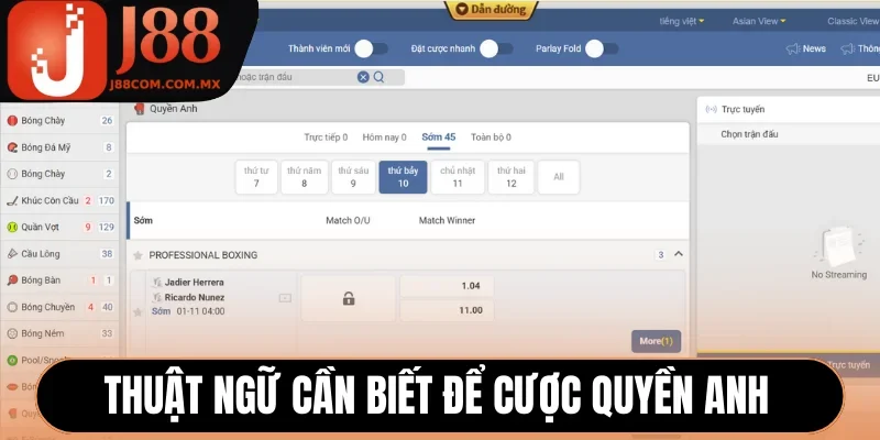 Thuật ngữ cần biết để cược quyền anh
